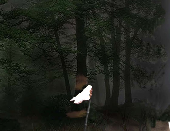 3D Graphics: Original Work created