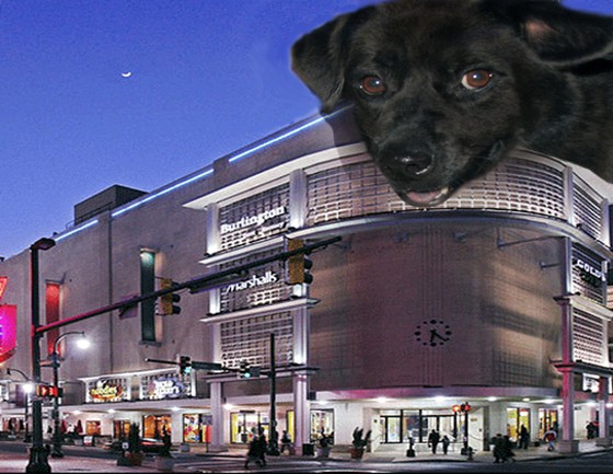 3D Graphics: Original Work created